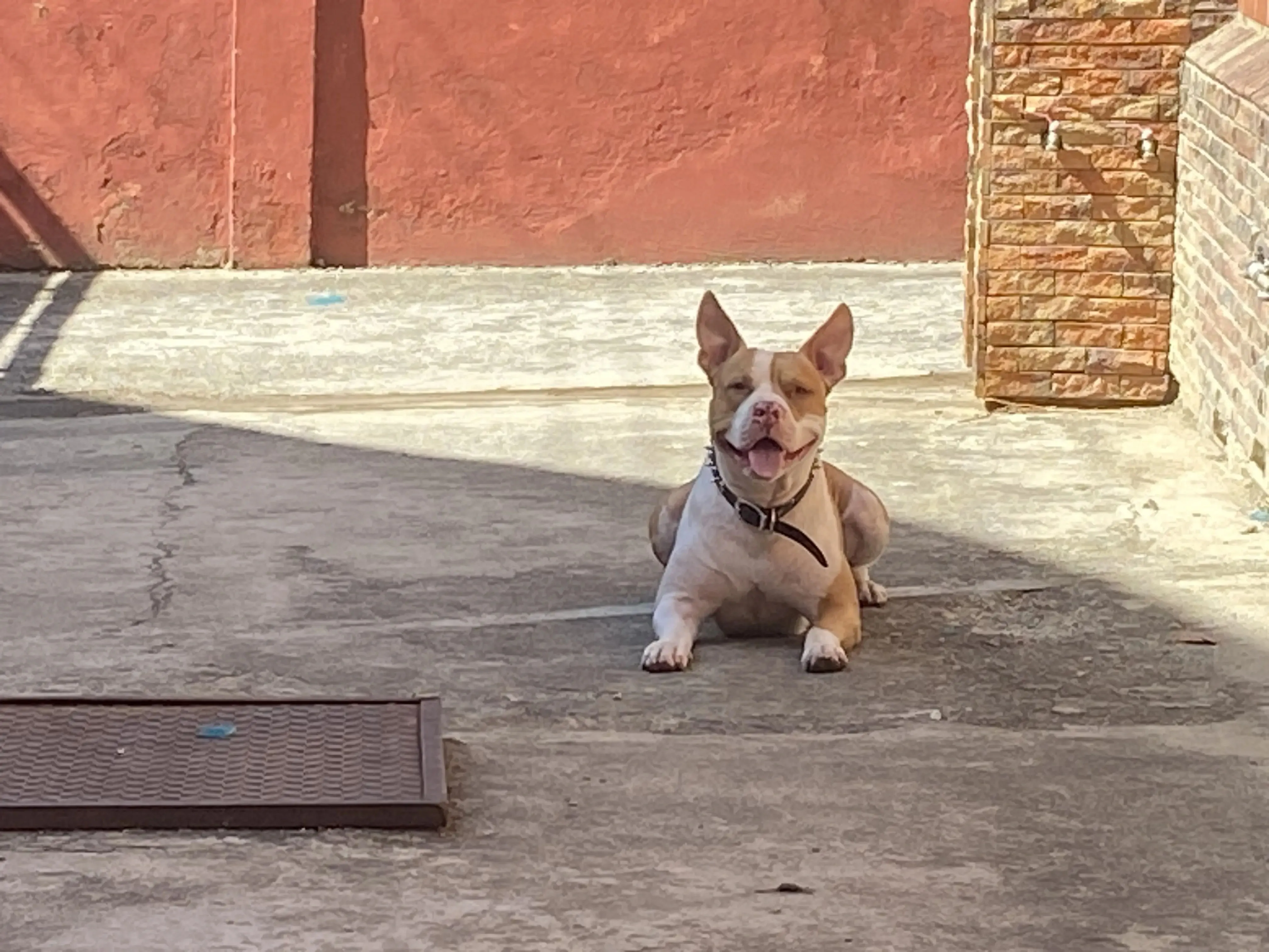 Eren descansando tranquilamente