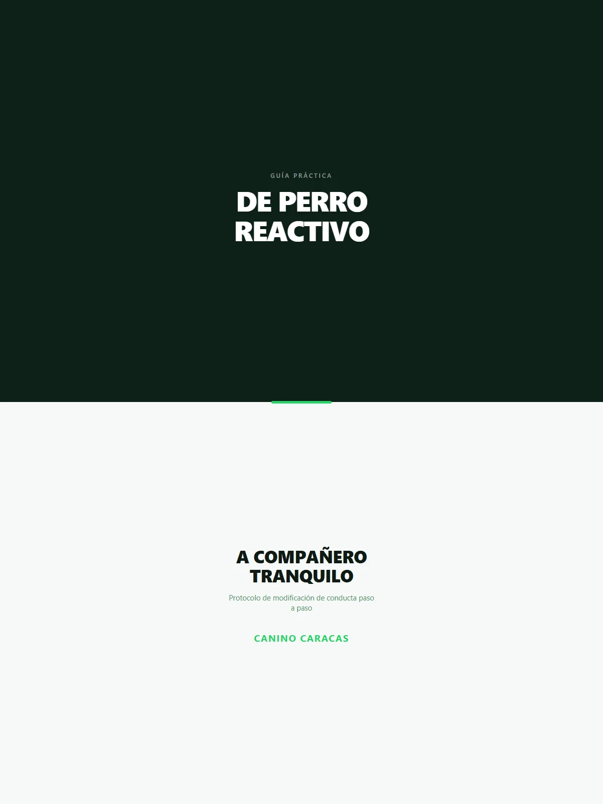 De Perro Reactivo a Compañero Tranquilo